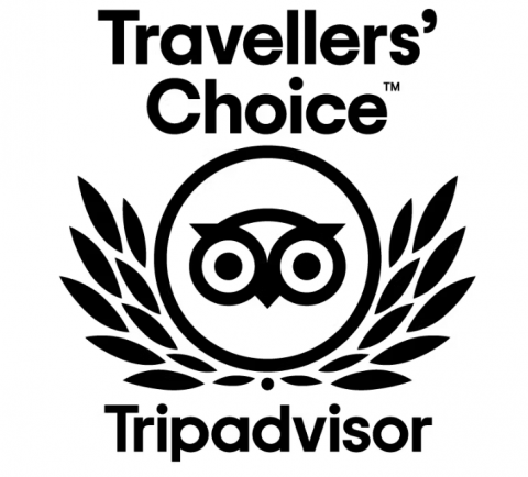 Tripadvisor Travellers' Choice Award logo