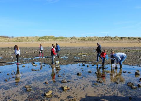 Families rock pooling on Shell Bay at Elie Holiday Park