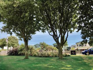 Leafy mature trees and dappled sunlight at St Monans Holiday Park