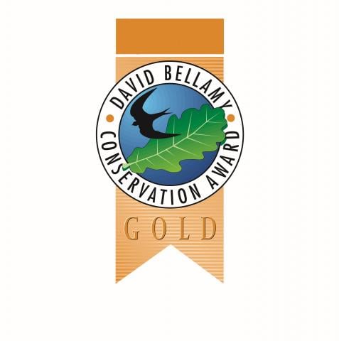 David Bellamy Gold Award