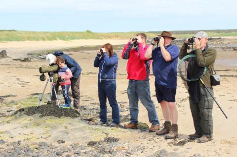 Group birdwatching towards Ruddons Point at Elie Holiday Park