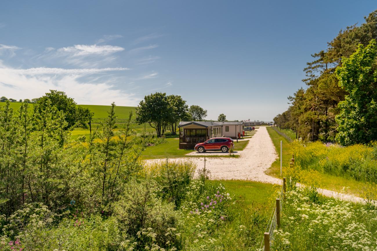 Castaway holiday homes in sunny meadow