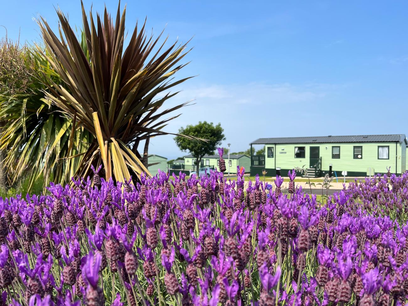 Castaway Sands holiday homes at St Andrews Holiday Park