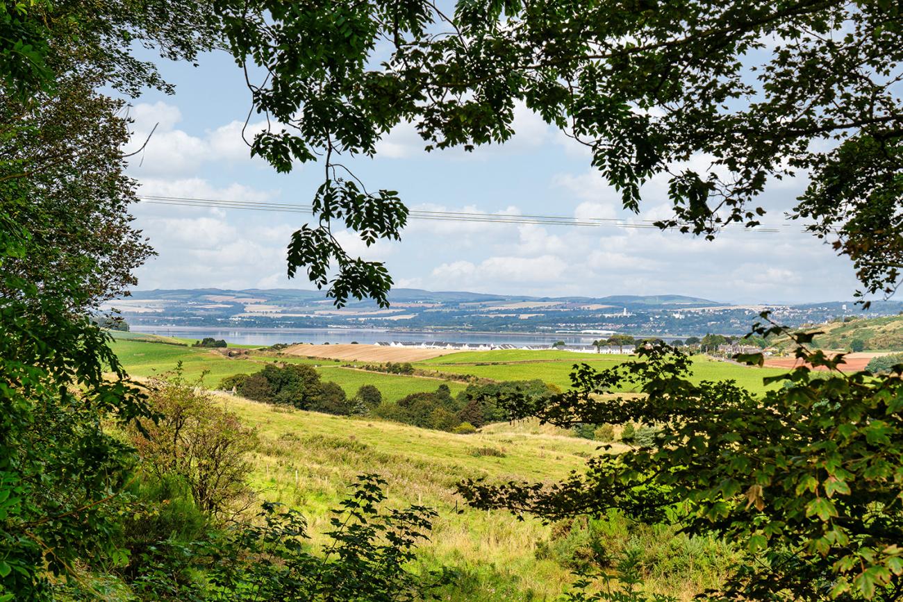 Sandford Country Cottages - countryside views