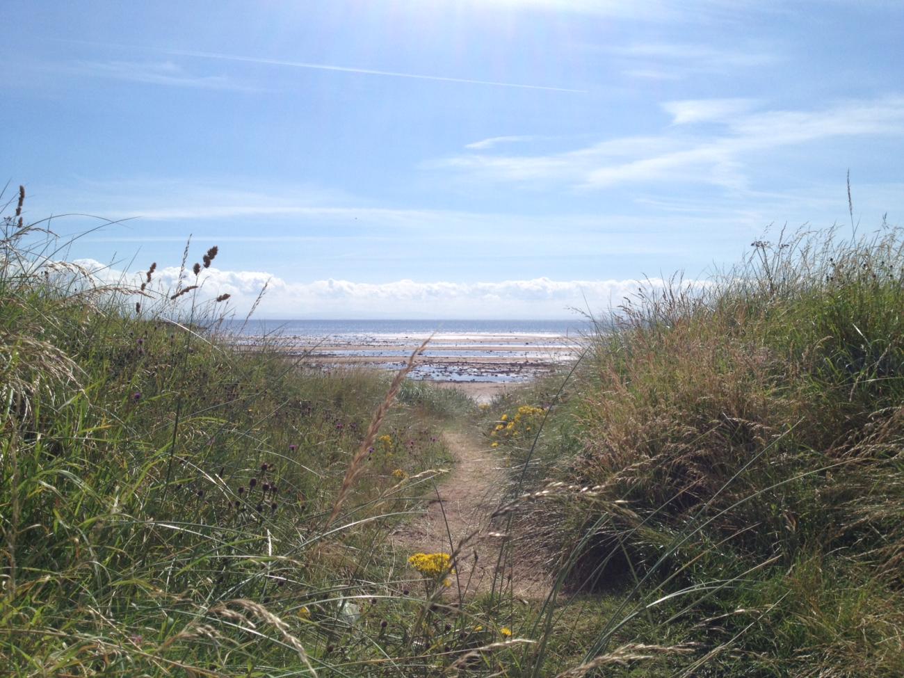Picture of Shell Bay Beach from Elie Holiday Park
