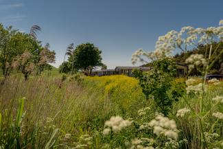 Castaway forest holiday homes nestled in a summer meadow with blue sky