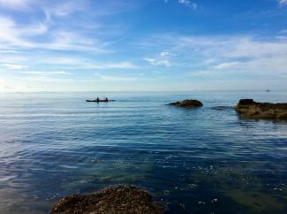 Kayakers paddling in the sea at Largo Bay