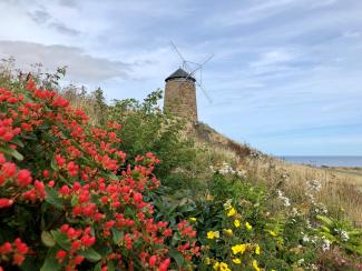 St Monans Windmill on the Fife Coastal Path