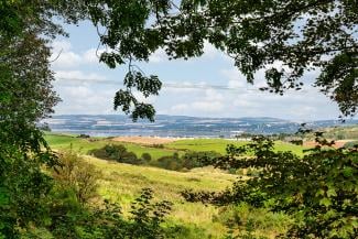 Sandford Country Cottages - countryside views