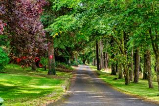 Sandford Country Cottages - drive way