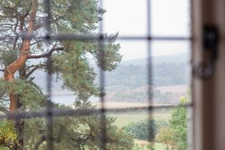 Lady Bluebell - countryside views